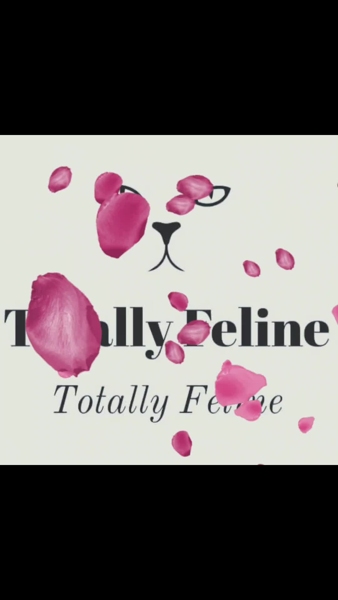 Lights, Camera & Cat-tion! thumbnail