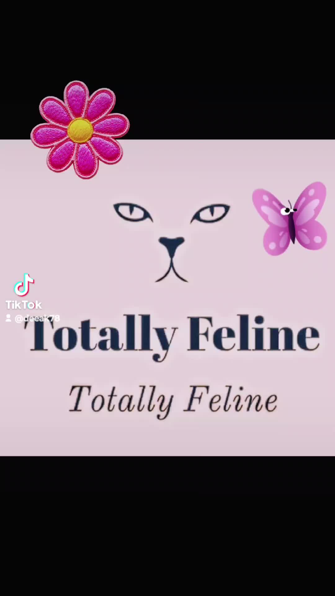 Lights, Camera & Cat-tion! thumbnail