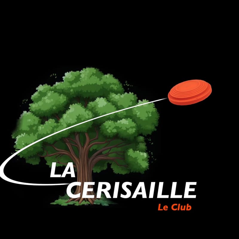 CHAMPIONNAT DE LIGUE PC