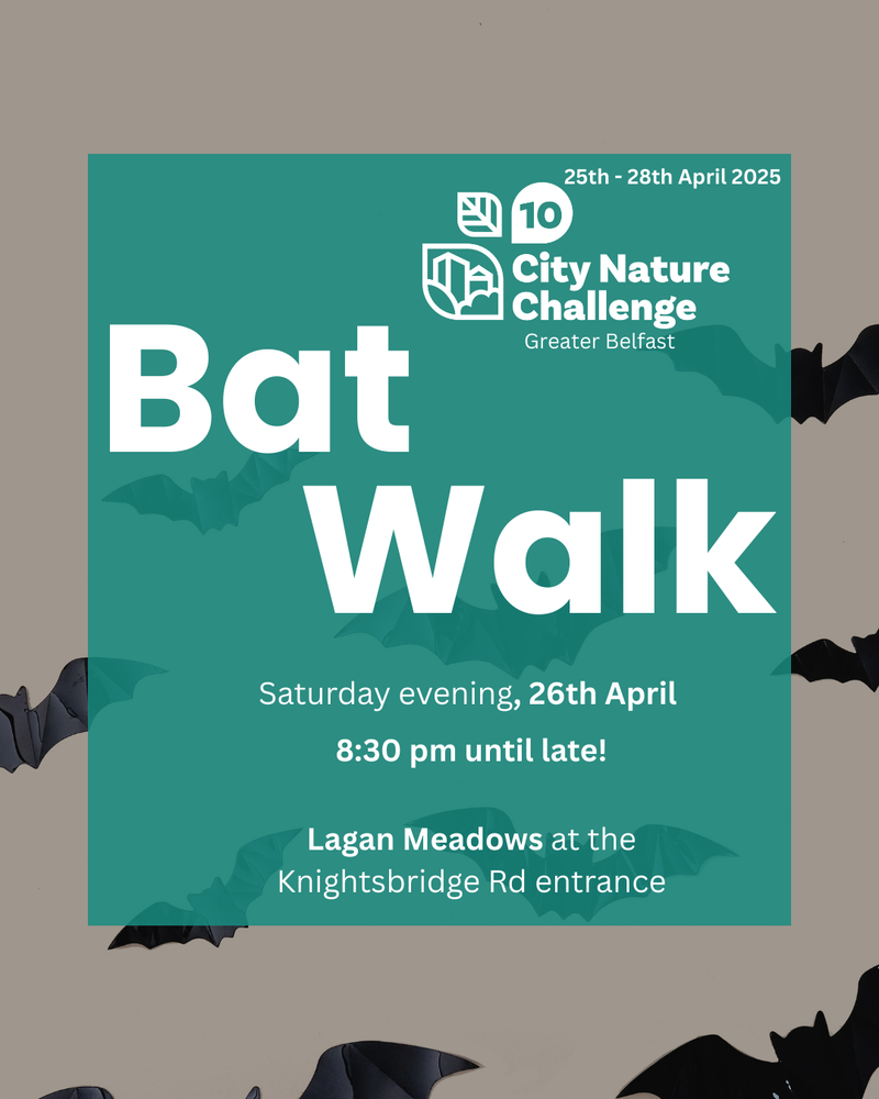 City Nature Challenge Day 2 BONUS: Bat Walk & Talk