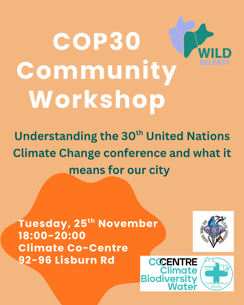 COP30 Community Workshop