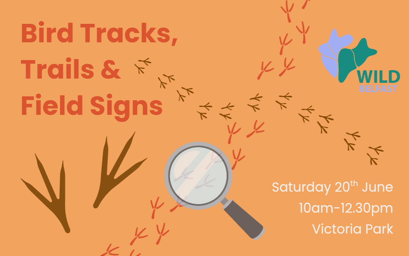 Bird Tracks, Trails & Field Signs