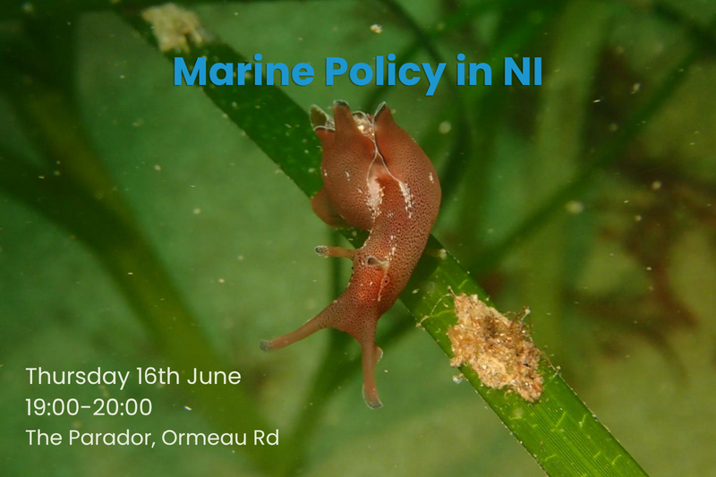 Marine Policy in NI