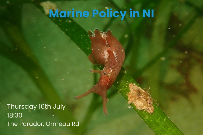Marine Policy in NI