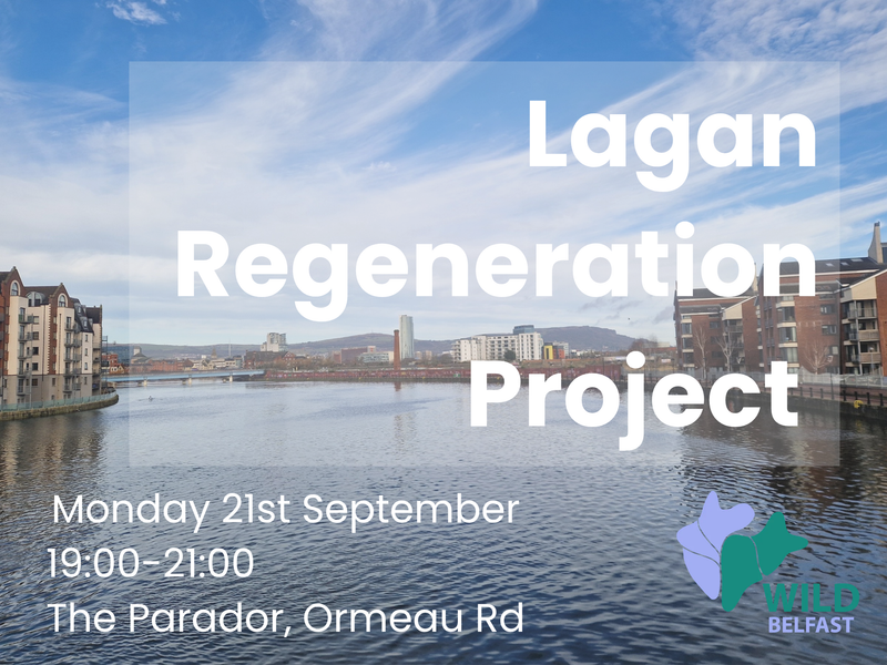Talk: Lagan Regeneration Project