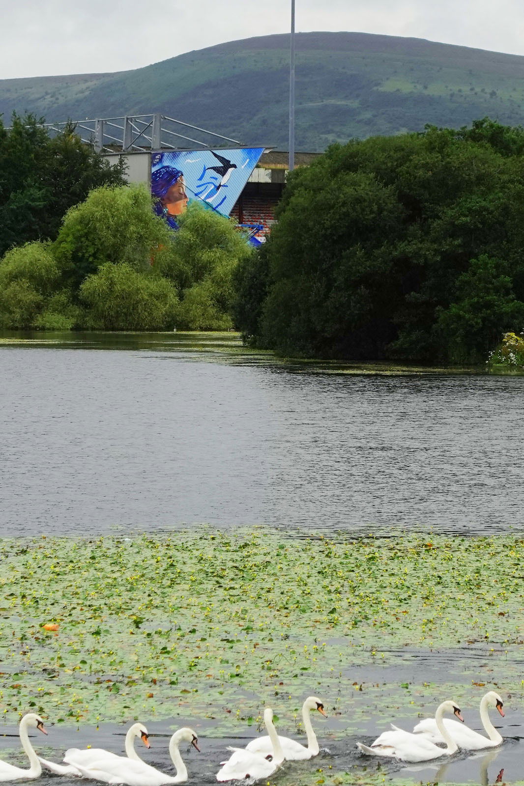 Mural view from the Waterworks park