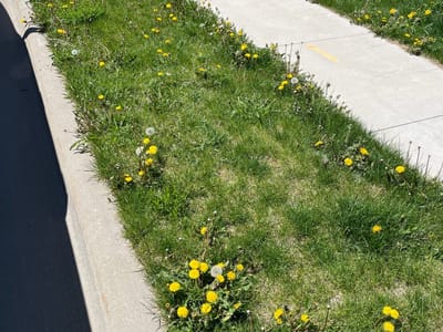 How do I know if I should hire a lawn service company?