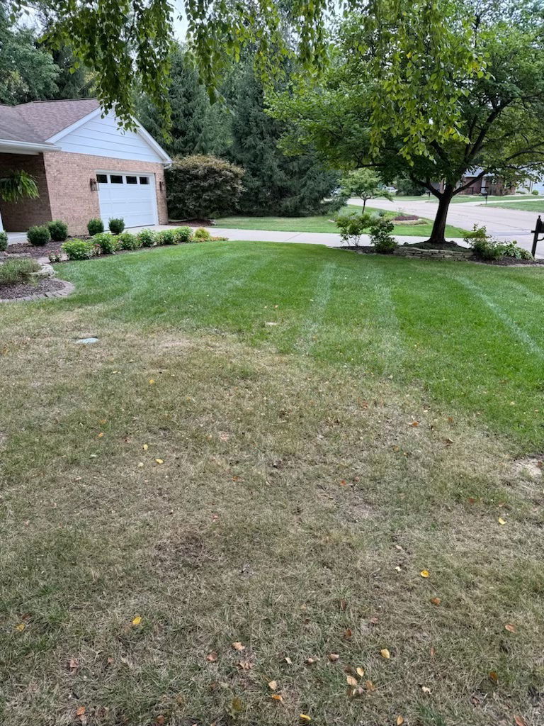 Tree and Shrub fertilization and insect control