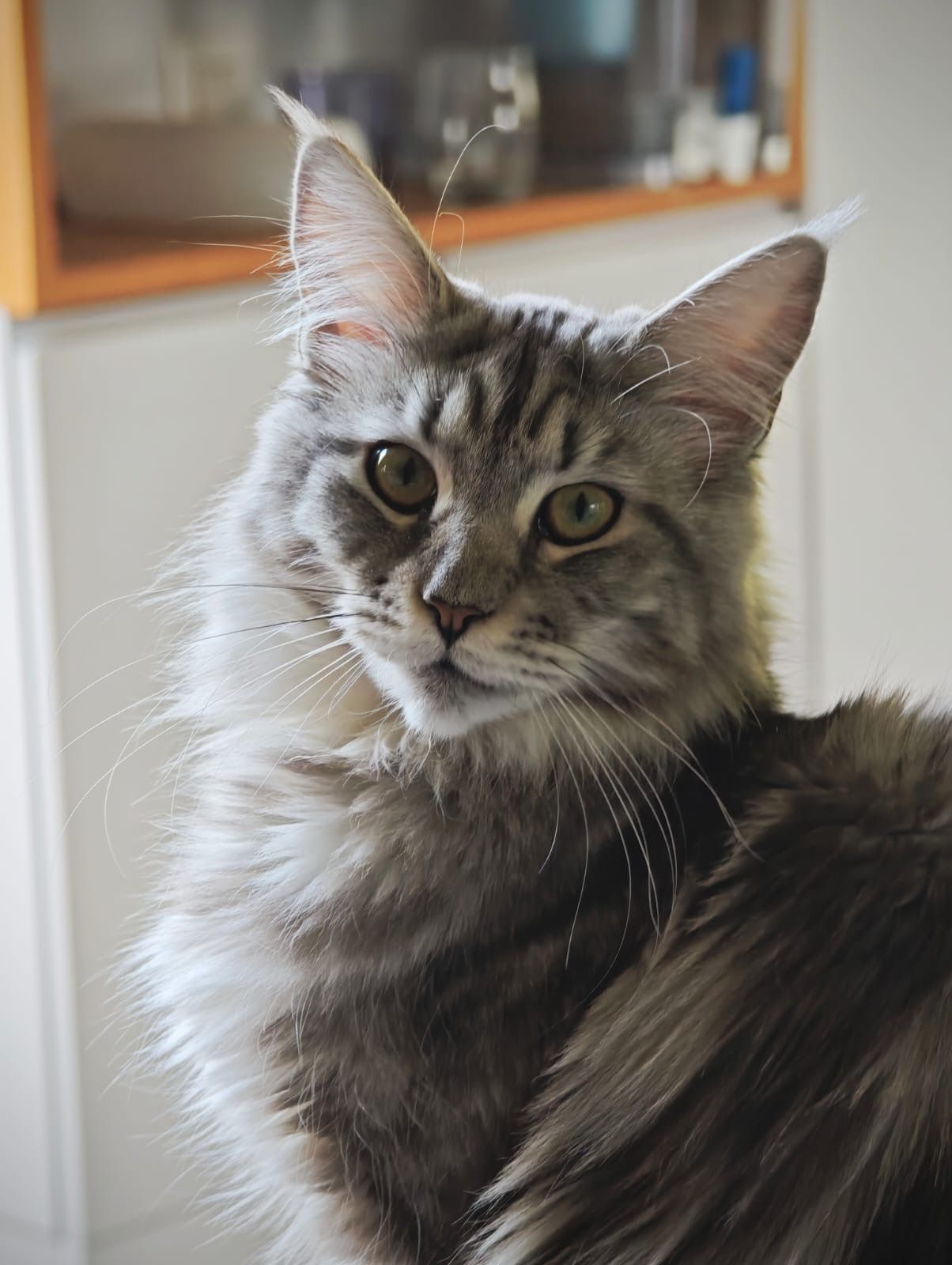 Agatha Christie of The Wild Night