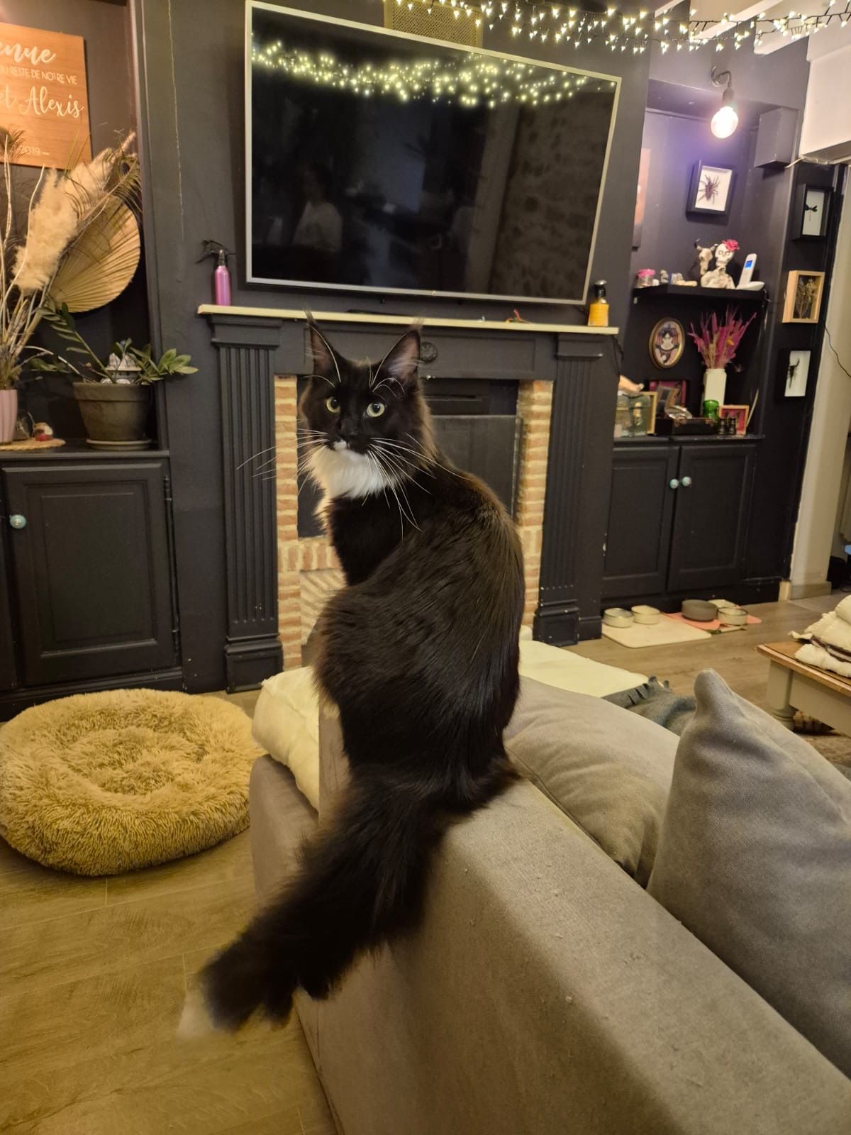 Ze Bounty of The Wild Night