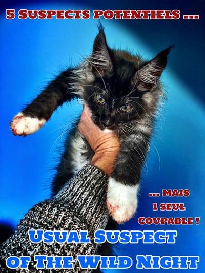 Usual Suspect of The Wild Night - Copier