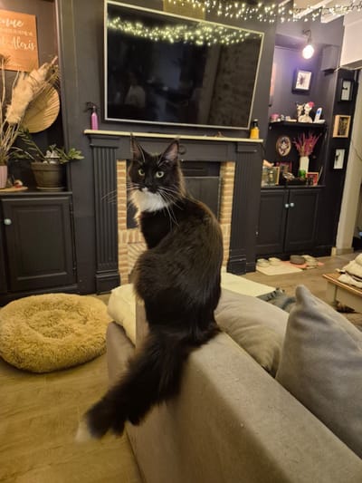 Ze Bounty of The Wild Night