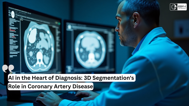 AI & 3D Segmentation for Coronary arteries Diagnosis | Cardiology
