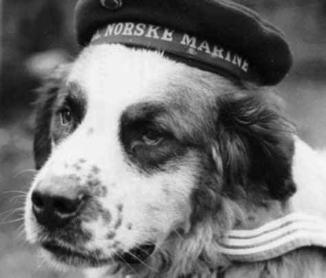 Bamse for Symphony Orchestra