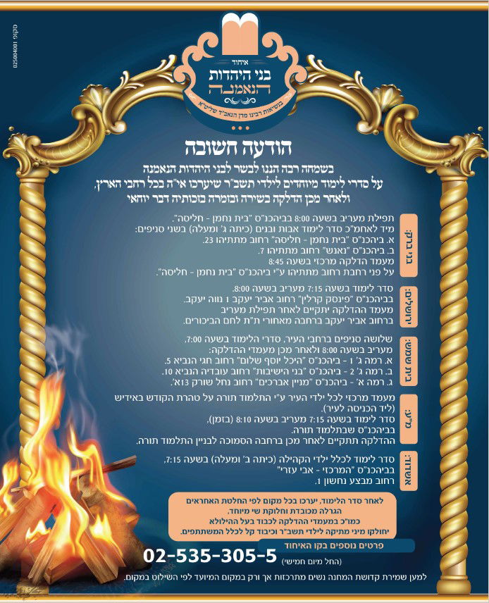 מיתוג לארגון