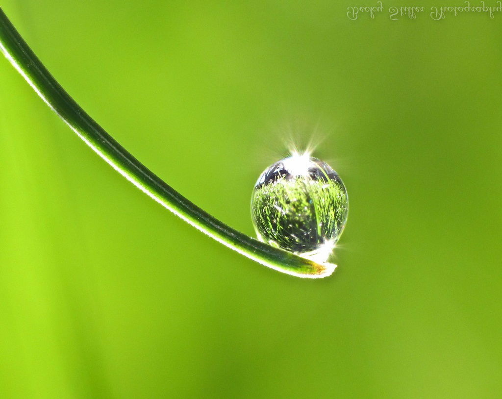 Geloof, overtuigingen, buitenaardse voorkeuren, een opgepoetst artikeltje uit het archief van 2017