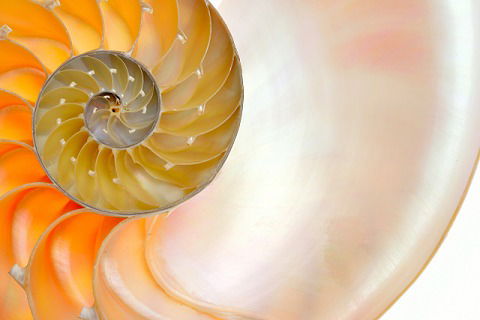 Seminar Zelfbekrachtiging  - "de basis van bewustwordings processen" (volgeboekt)