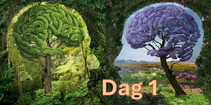 Inhaaldag: Gezond en Welzijnsdagen - 2 daags Seminar - dag 1
