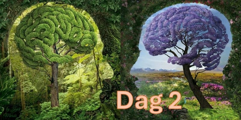 Gezond en Welzijnsdagen - 2 daags Seminar - dag 2 (volgeboekt)