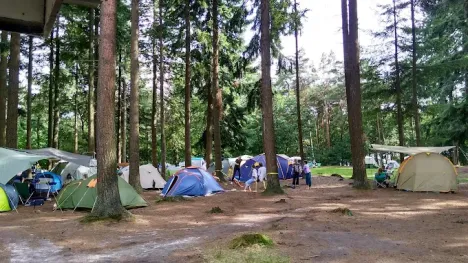 5-6-7 september Ieberenplas | The power of the crowd – in nature