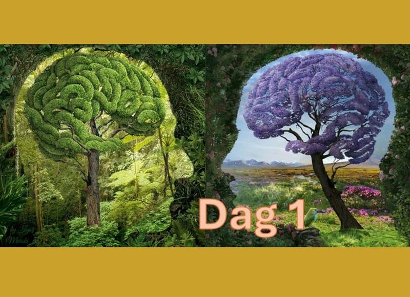 Gezond en Welzijnsdagen - aaneengesloten 2-daags Seminar - dag 1 (volgeboekt)