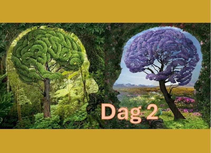 Gezond en Welzijnsdagen - aaneengesloten 2-daags Seminar - dag 2 (volgeboekt)