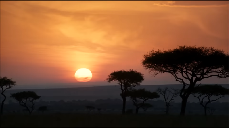 The Circle of Life thumbnail