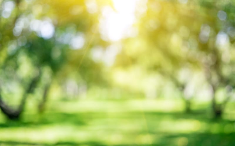 In gesprek: Open Thema & dialoog dag "Mens, Aarde & Kosmos" (volgeboekt)