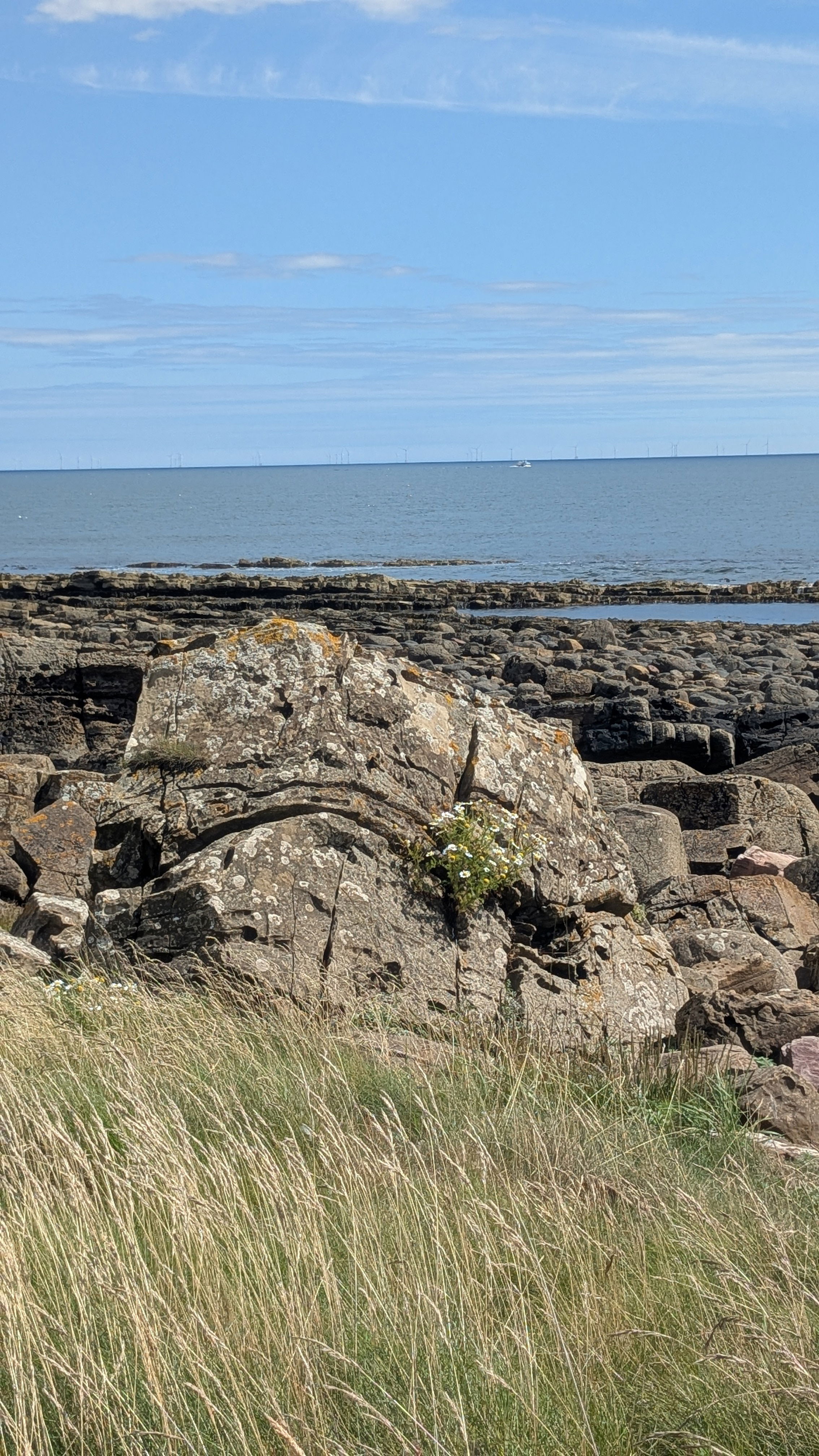 Die Natur ist voller Schönheit! Vielen Dank für die Inhalte von Euro-Bildern. Ich war letzten Sommer in Schottland, aber der „Grumpy Stone“ war immer noch da :-)