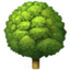 🌳