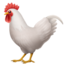 🐓