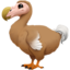 🦤
