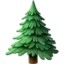 🌲