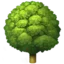 🌳
