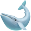 🐋