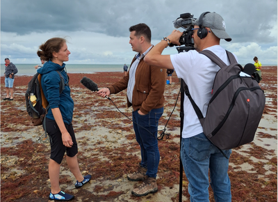 France 3 Pays de la LOire
