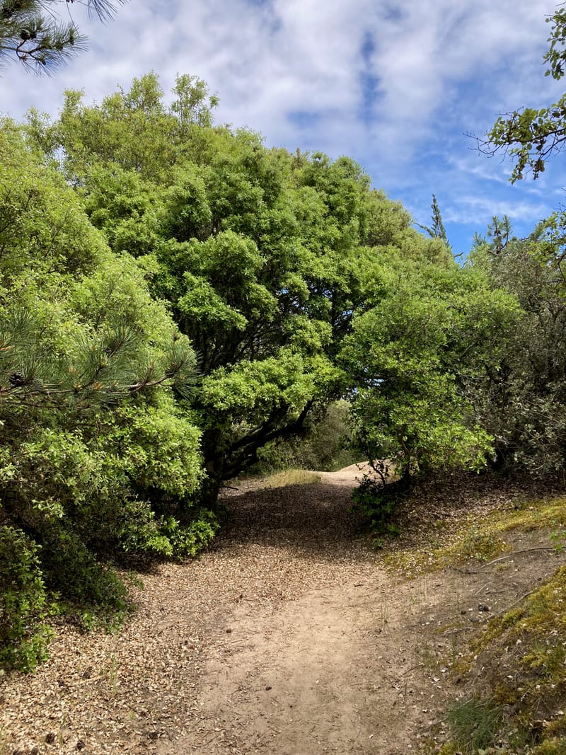 Balades nature guidées
