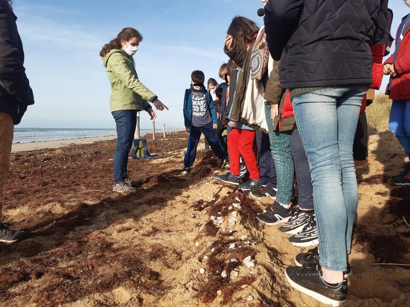 Découverte de la dune