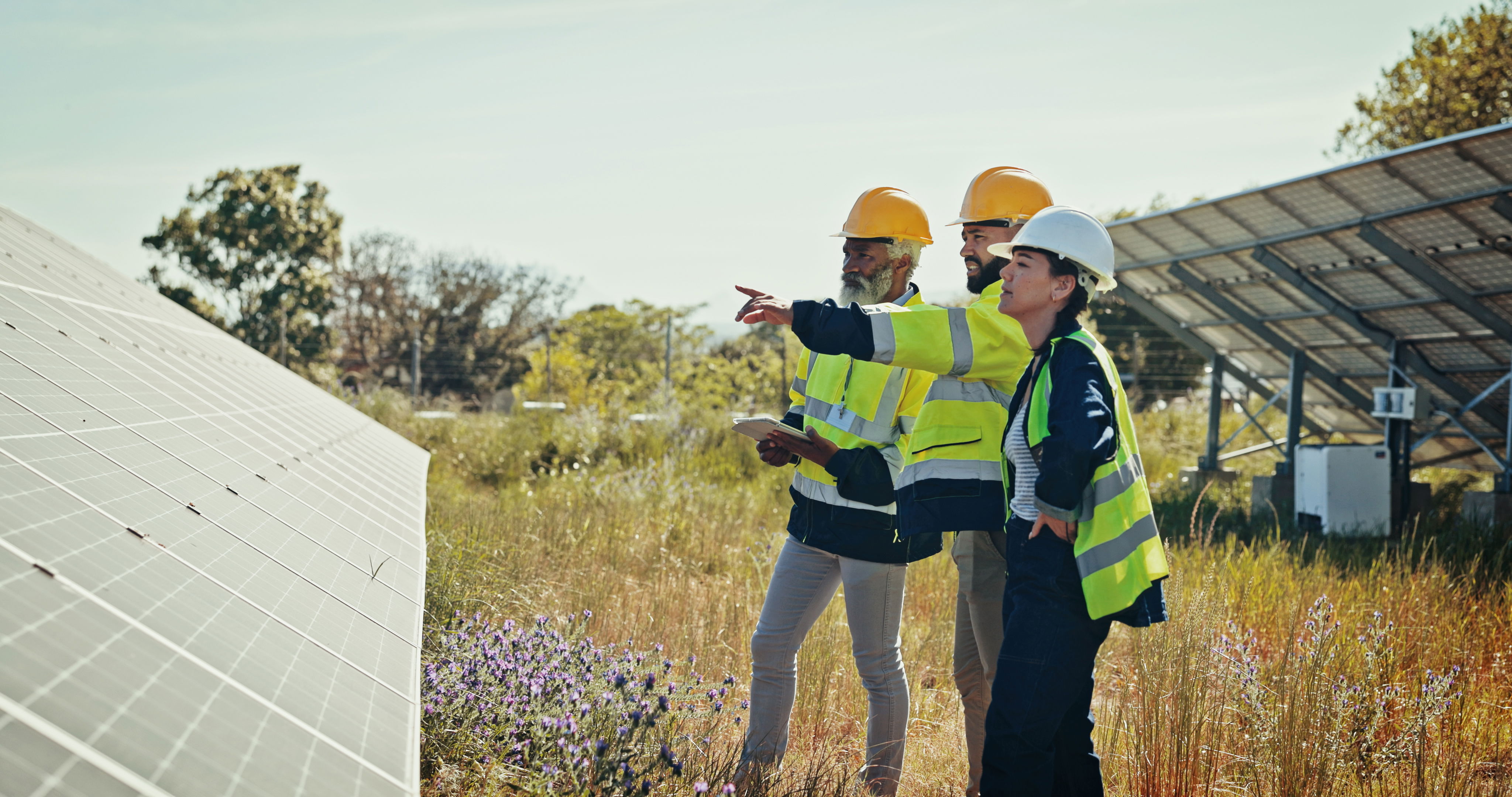 FLEXIBLE SOLUTIONS: OWN INVESTMENT OR PHYSICAL PPA