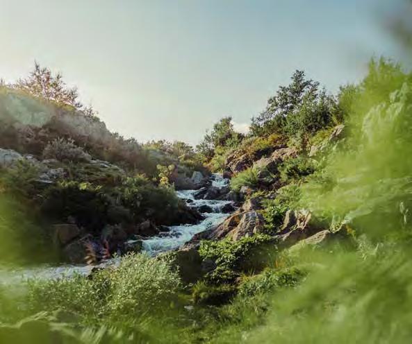 Vi är alla barn av Naturen