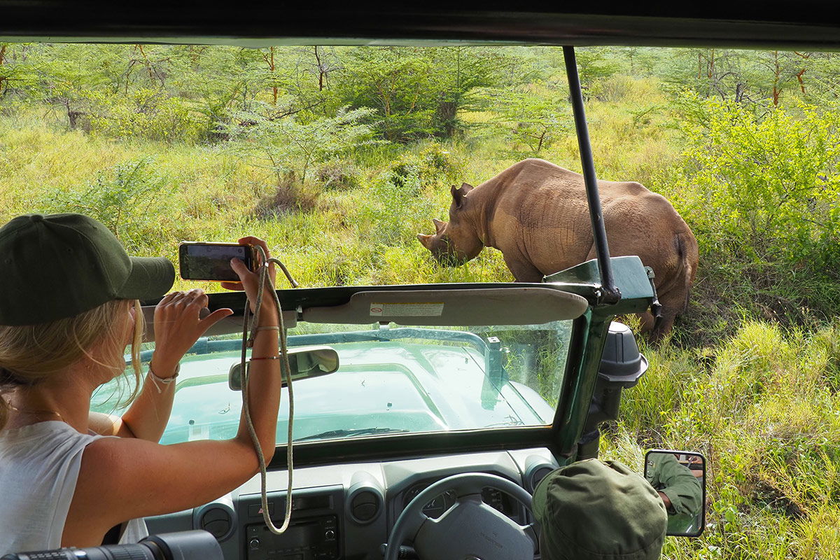 Day Trip-Mkomazi national park