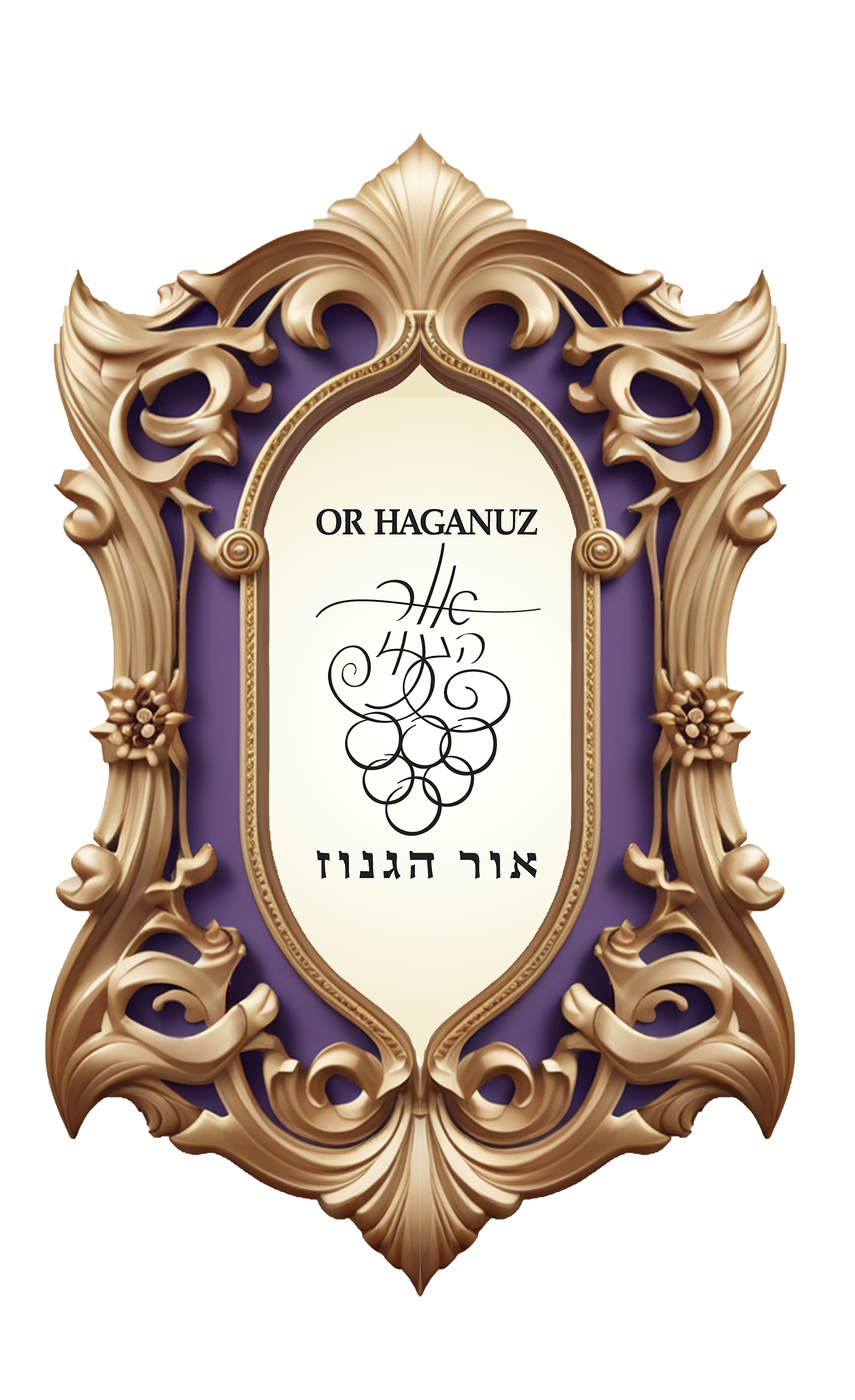 אור הגנוז