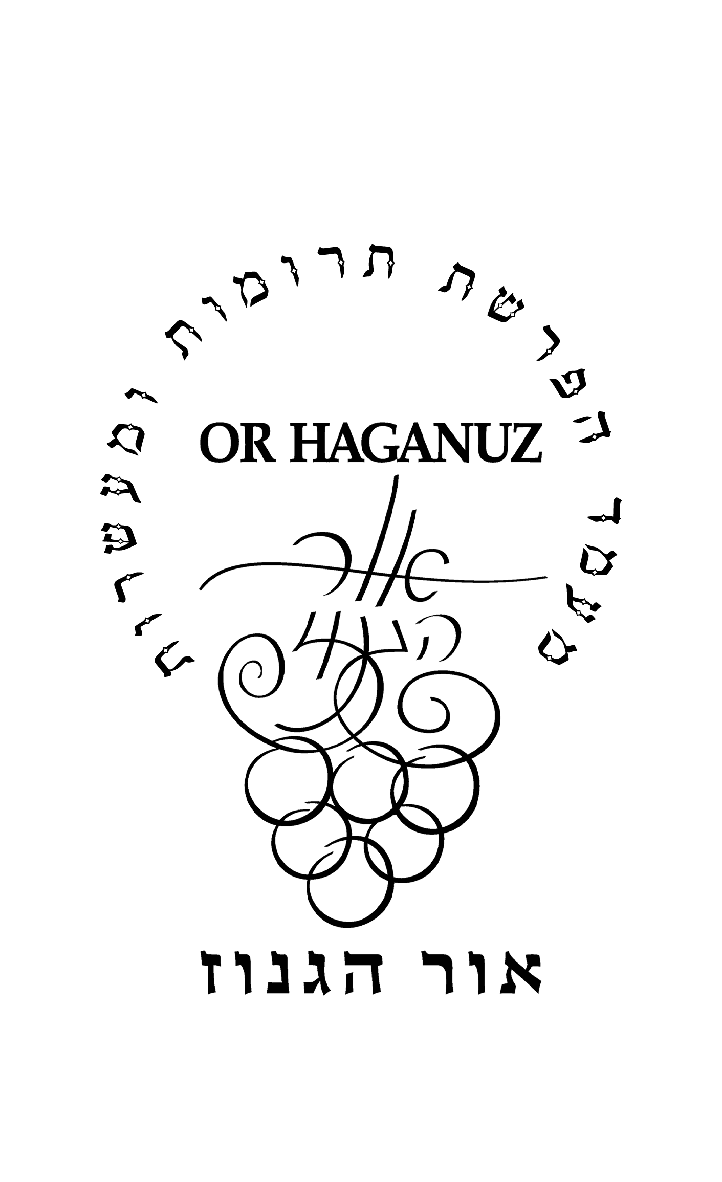 אור הגנוז