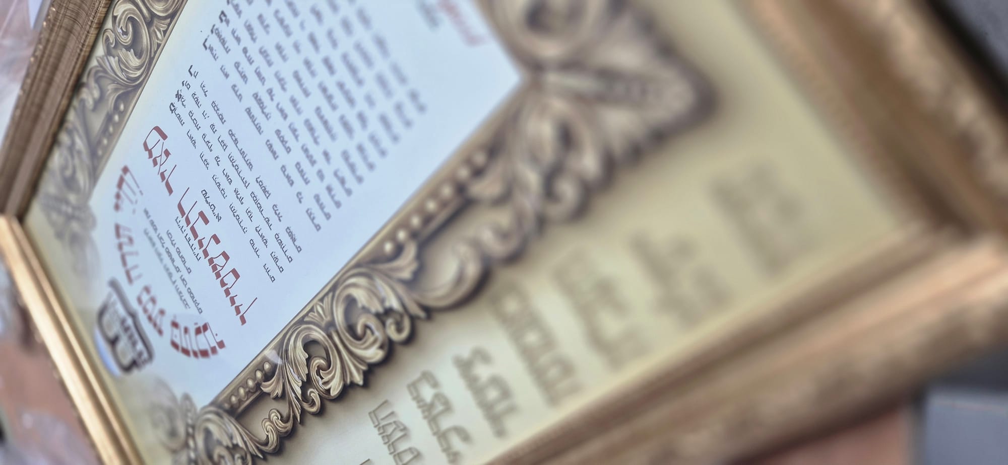 תיעוד מהאירוע