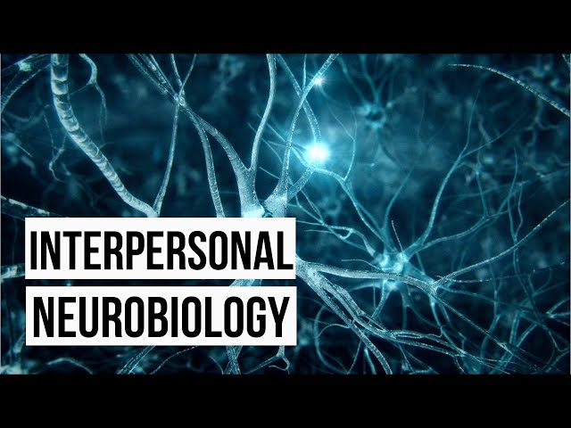 Building Resilience: A Guide to Personal Transformation with Interpersonal Neurobiology