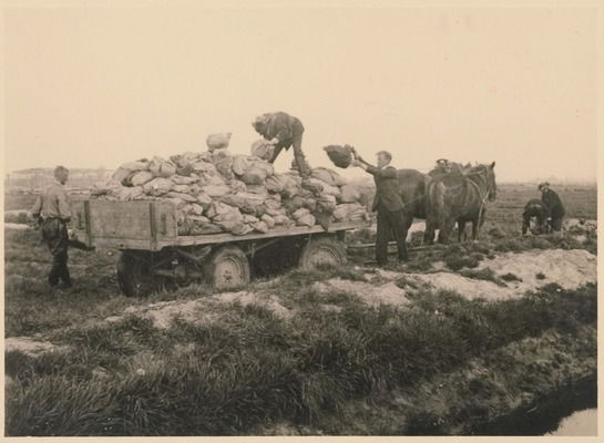 Voedeldropping mei 1945