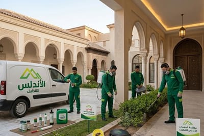 افضل شركة مكافحة حشرات والقوارض بجازان