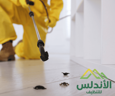 افضل شركة مكافحة حشرات والقوارض في بيش