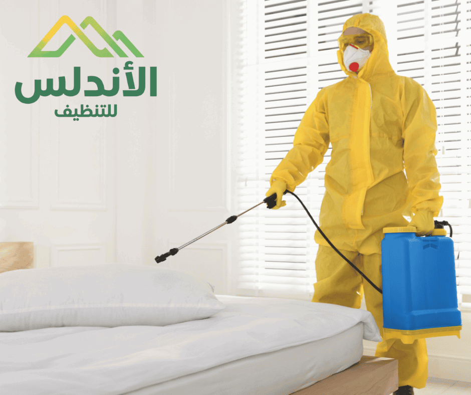 افضل شركة مكافحه حشرات في بيش