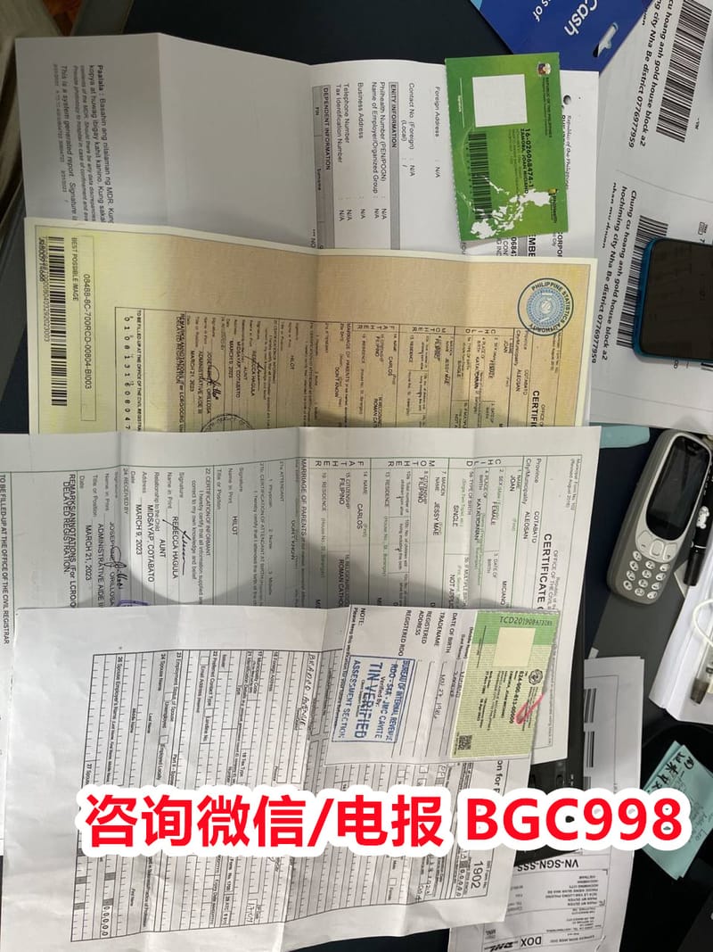 菲律宾入境持有什么签证比较不会遣返？